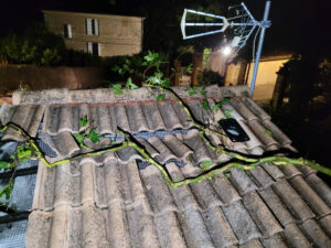 Dégâts sur toiture d'une maison suite à la chute d'un arbre