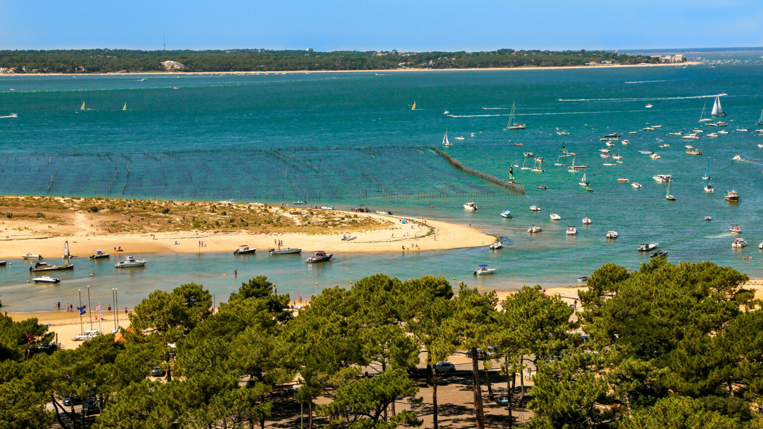 bassin d'arcachon - parc à huîtres (vue du phare)